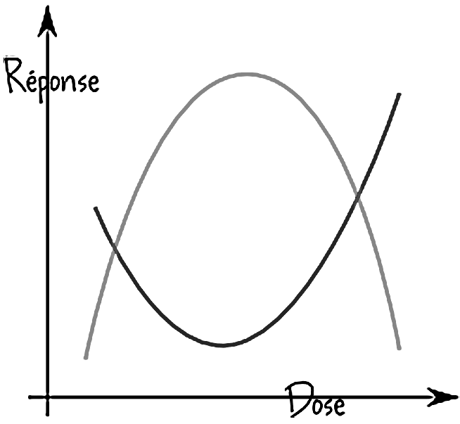 dose-réponse
